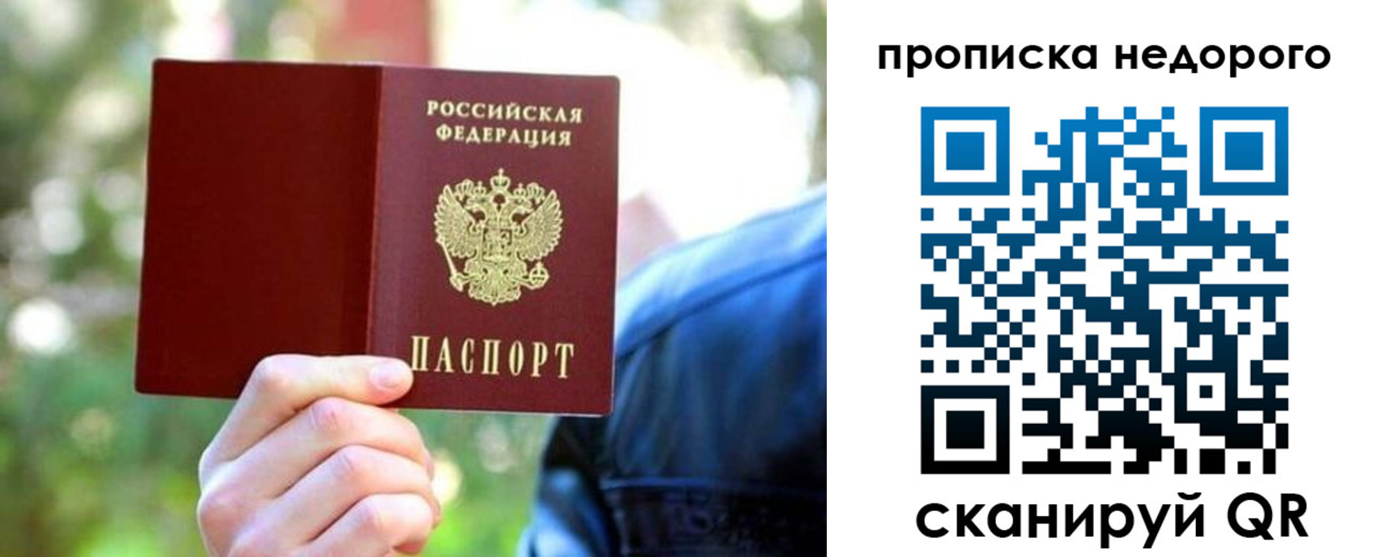 прописка в квартире в Димитровграде